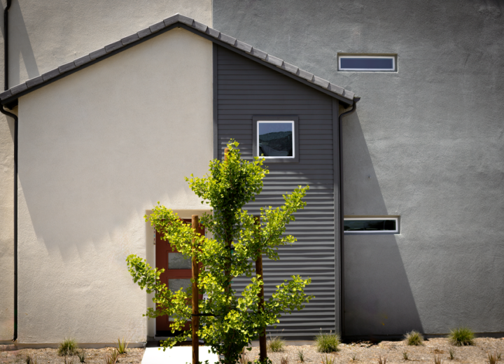 Contemporary residential facade featuring minimalist design and vibrant garden element.