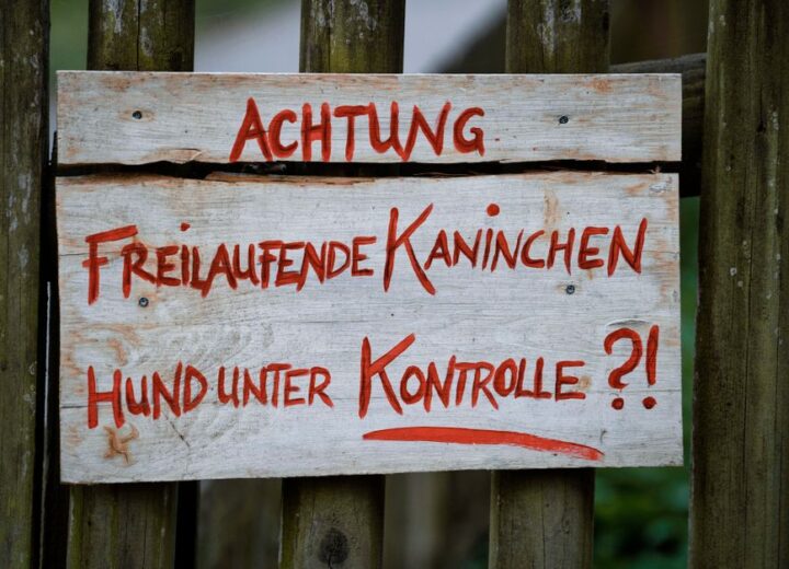 Wooden sign warning of free-range rabbits and controlled dogs outdoors.